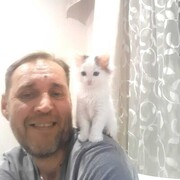   ,   , 51 ,   ,   