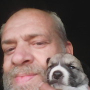  ,   , 53 ,   