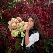 ���������� ������, ���� ������� ���������, 43 ����, ������������ ��� ������, ����� � ���������, c�������� ���������