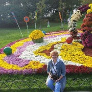  ,   , 56 ,   ,   