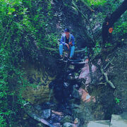 ���������� �������, ���� ������� �����, 31 ���, ������������ ��� ������, ����� � ���������