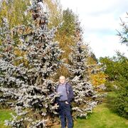 ���������� ������ ��������, ���� ������� ϸ��, 59 ���, ������������ ��� ������, ����� � ���������, c�������� ���������