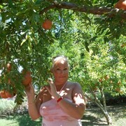  ,   , 55 ,     , c 