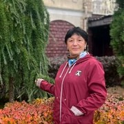 ���������� ����, ���� ������� ���������, 63 ����, ������������ ��� ������, ����� � ���������, c�������� ���������