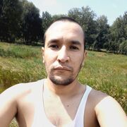 ���������� ���������, ���� ������� ������, 33 ����, ������������ ��� ����� � ���������, c�������� ���������