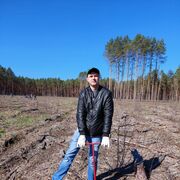 ���������� ������, ���� ������� �������, 36 ���, ������������ ��� ������, ����� � ���������, c�������� ���������