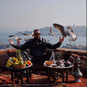 ���������� ��������, ���� ������� �������, 29 ���, ������������ ��� ������, ����� � ���������