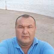   ,  , 43