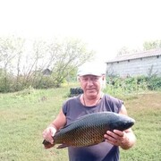  ,   , 62 ,   ,   , 
