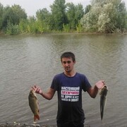  ,   , 34 ,   ,   