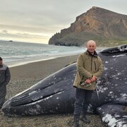 ���������� ������ ��������, ���� ������� ����, 53 ����, ������������ ��� ������, ����� � ���������, ���������