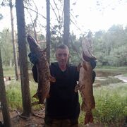  ,   , 42 ,   ,   