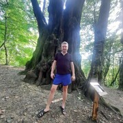 ���������� ����������, ���� ������� �������, 40 ���, ������������ ��� ������, ����� � ���������, c�������� ���������, ���������