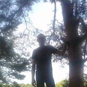  ,  , 35