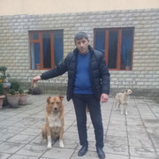  ,   Altay, 44 ,   
