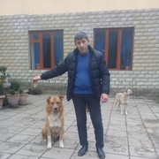  ,   Altay, 43 ,   