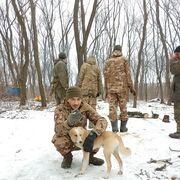 ���������� ������������, ���� ������� ����, 38 ���, ������������ ��� ������, ����� � ���������