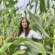 ���������� ���������, ���� ������� �����, 40 ���, ������������ ��� c�������� ���������