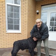 ���������� ����, ���� ������� ������, 72 ����, ������������ ��� ������, ����� � ���������, c�������� ���������, ���������