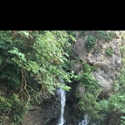 ���������� ���������, ���� ������� ������, 38 ���, ������������ ��� ������, ����� � ���������