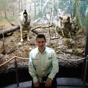  ,   Stefan, 33 ,   ,   , c 