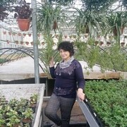  ,   , 53 ,   c 