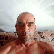  -,   , 43 ,   ,   