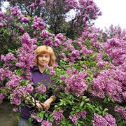  ,   , 51 ,   ,   , c 