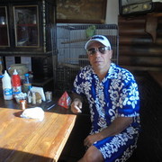 ���������� ����������, ���� ������� Chiba555, 60 ���, ������������ ��� ������