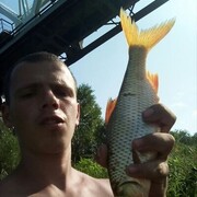 ���������� ������, ���� ������� ��������, 29 ���, ������������ ��� ������, ����� � ���������