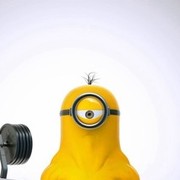 ���������� ������, ���� ������� ����, 41 ���, ������������ ��� ������, ����� � ���������, c�������� ���������