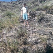 ���������� �������, ���� ������� 90 944 3995, 29 ���, ������������ ��� ������, ����� � ���������, c�������� ���������