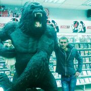 ���������� �����, ���� ������� ˸��, 33 ����, ������������ 