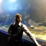 ���������� ������, ���� ������� ������, 41 ���, ������������ ��� ����� � ���������, c�������� ���������