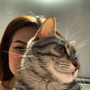 ���������� ������, ���� ������� ����, 24 ����, ������������ ��� c�������� ���������, ���������