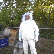 ���������� ���, ���� ������� ������, 67 ���, ������������ ��� ������, ����� � ���������, c�������� ���������