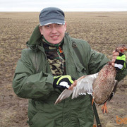 ���������� ��������, ���� ������� ���������, 43 ����, ������������ ��� ������