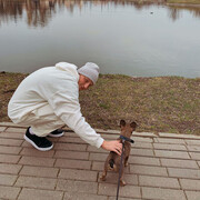 ���������� ������, ���� ������� ����, 26 ���, ������������ ��� ������, ����� � ���������