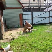  ,   , 33 ,   c 