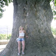 ���������� �������, ���� ������� �������, 40 ���, ������������ ��� ������, ����� � ���������, c�������� ���������, ���������