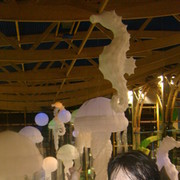 ���������� ������-��-����, ���� ������� �����, 63 ����, ������������ ��� ������, ����� � ���������, c�������� ���������