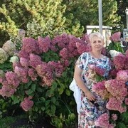 ���������� ���������, ���� ������� Elena, 50 ���, ������������ ��� ������, ����� � ���������, c�������� ���������, ���������