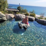 ���������� ��������, ���� ������� �������, 54 ����, ������������ ��� ������, ����� � ���������, c�������� ���������