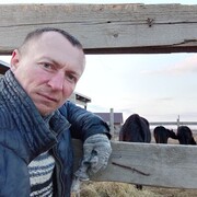 ���������� ���������, ���� ������� �������, 39 ���, ������������ ��� ������, ����� � ���������