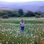 ���������� ����, ���� ������� Rashid, 51 ���, ������������ ��� ������, ����� � ���������, c�������� ���������