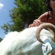 ���������� �������, ���� ������� ������, 43 ����, ������������ ��� ������, ����� � ���������, c�������� ���������