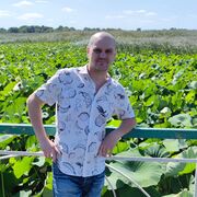 ���������� ���������, ���� ������� �����, 41 ���, ������������ ��� ����� � ���������, c�������� ���������