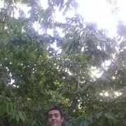  ,   Ali, 34 ,   ,   , c 