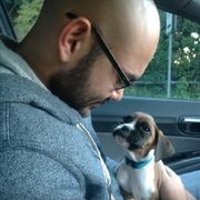 ���������� �����-���������, ���� ������� ����, 37 ���, ������������ ��� ������, ����� � ���������