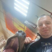 ���������� �������, ���� ������� ������, 38 ���, ������������ ��� ����� � ���������, c�������� ���������